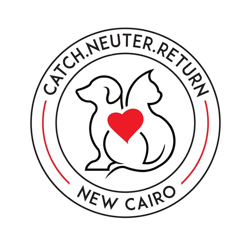 CNR New Cairo